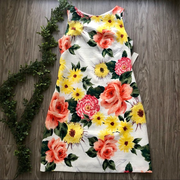 Eliza J Dresses & Skirts - NWT Eliza J Textured Floral Shift Dress
